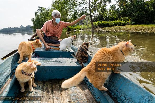 ZUMA Press - Image Search: Rescue Cats Fishing In Surat Thani, Thailand